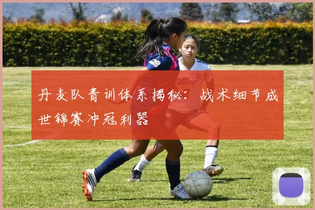 丹麦队青训体系揭秘：战术细节成世锦赛冲冠利器